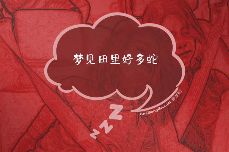 梦见田里好多蛇