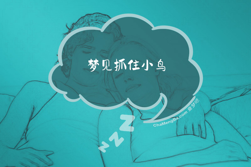 梦见抓住小鸟