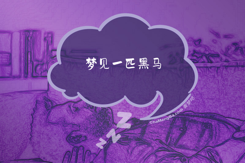 梦见一匹黑马