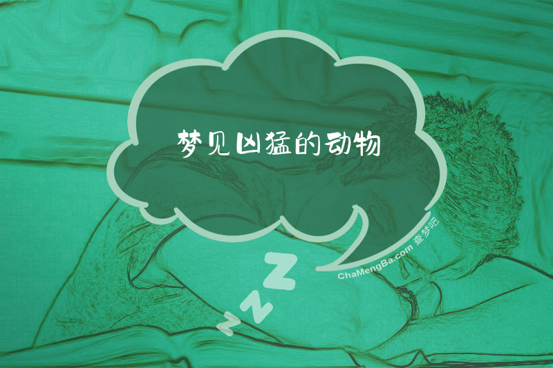 梦见凶猛的动物
