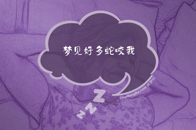 梦见好多蛇咬我