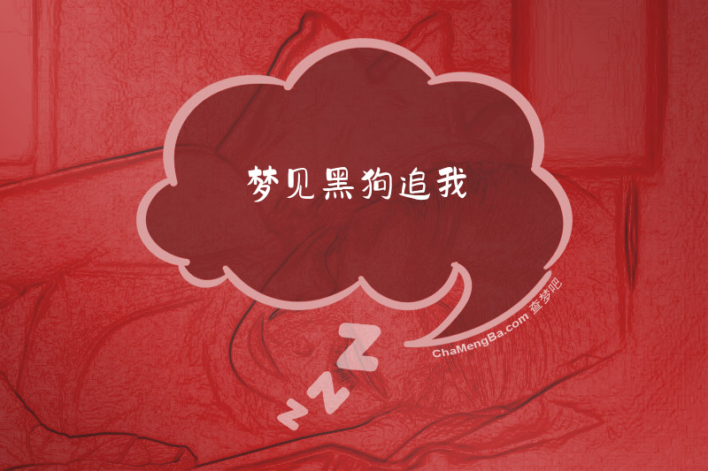 梦见黑狗追我
