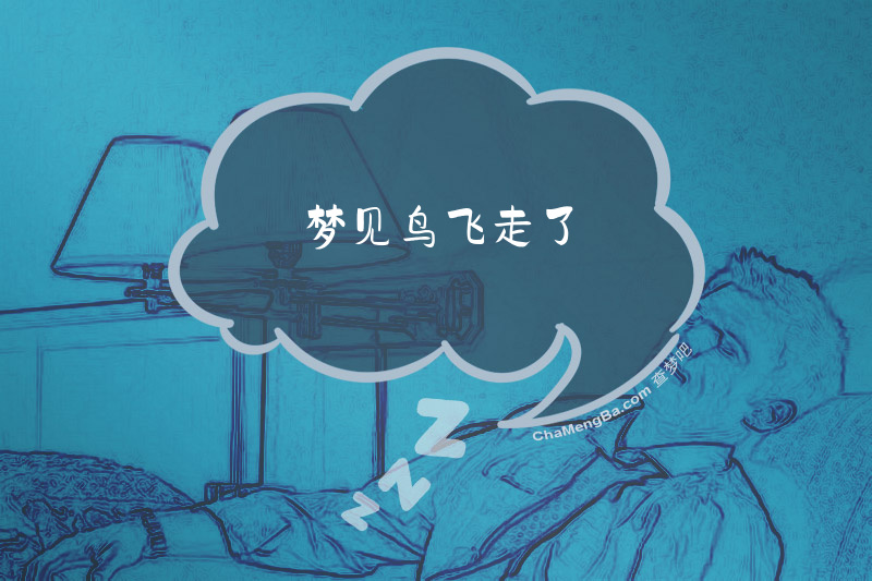 梦见鸟飞走了