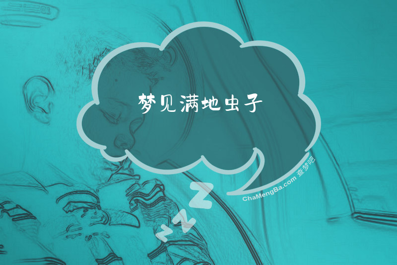 梦见满地虫子