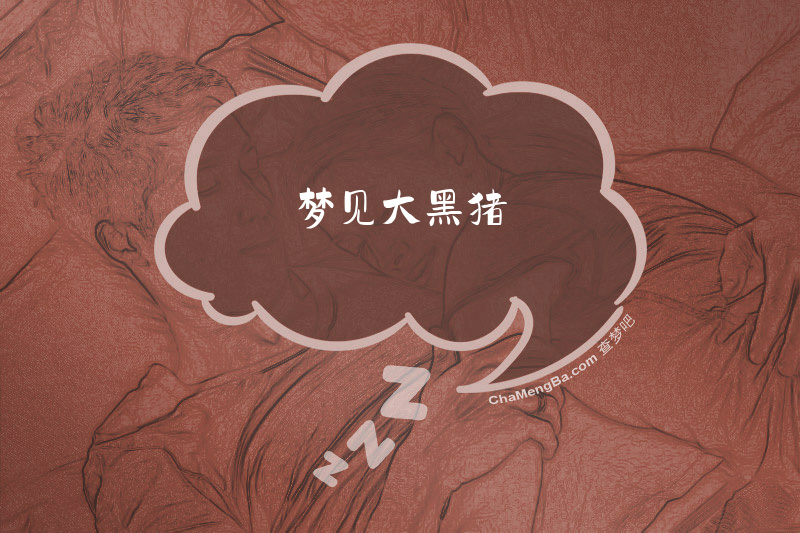 梦见大黑猪