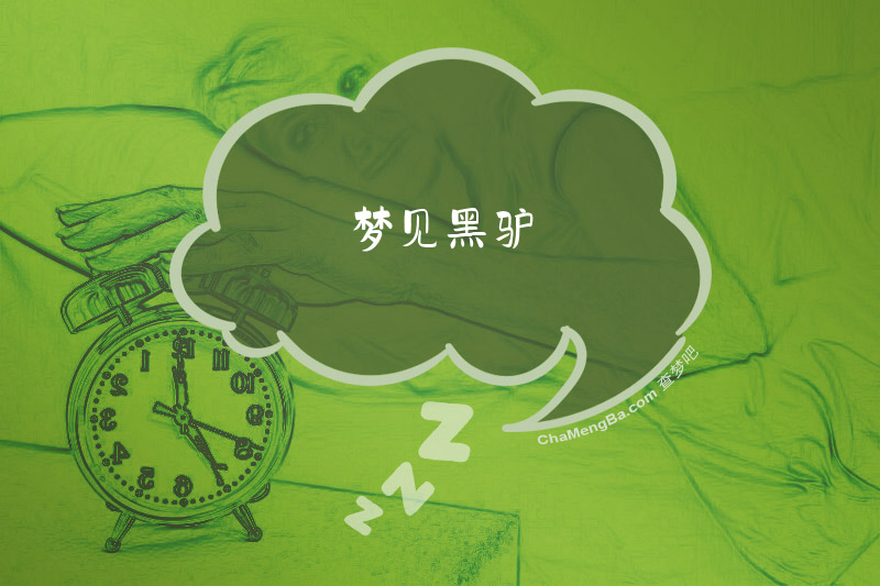 梦见黑驴