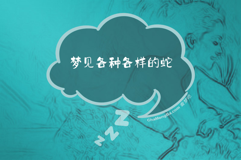梦见各种各样的蛇