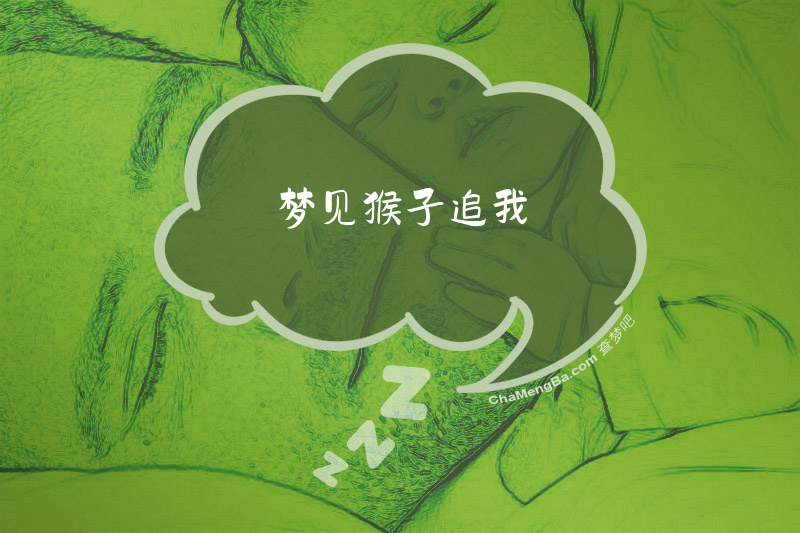 梦见猴子追我
