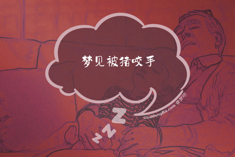 梦见被猪咬手