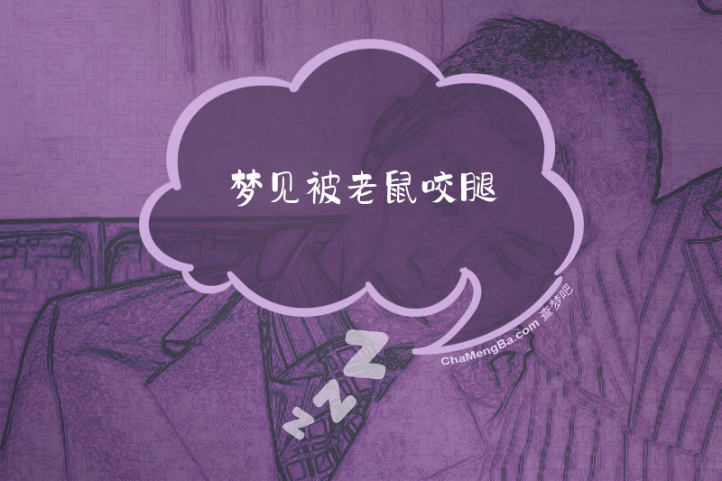 梦见被老鼠咬腿