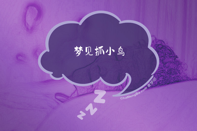梦见抓小鸟