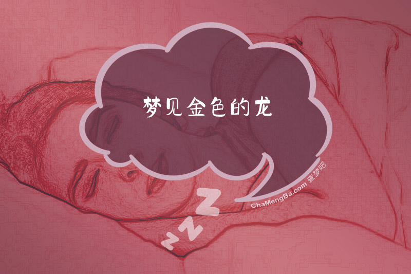 梦见金色的龙