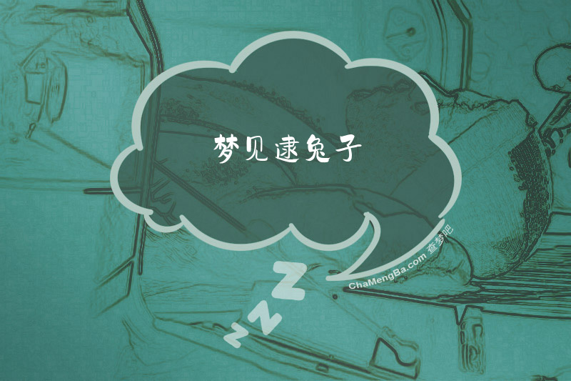 梦见逮兔子