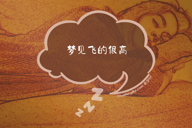 梦见飞的很高