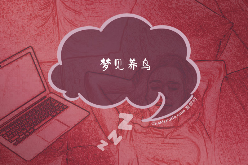 梦见养鸟