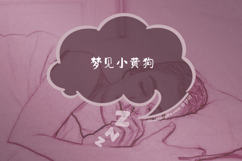 梦见小黄狗