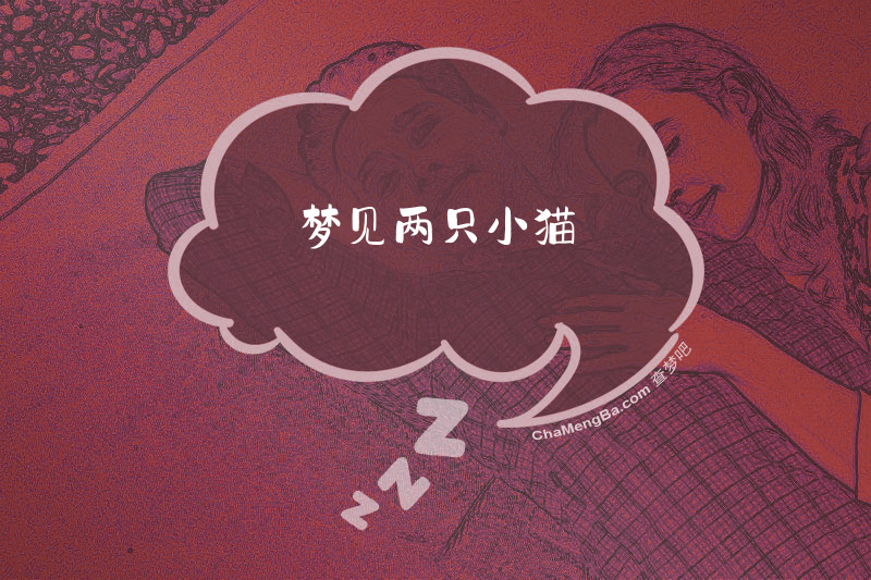梦见两只小猫