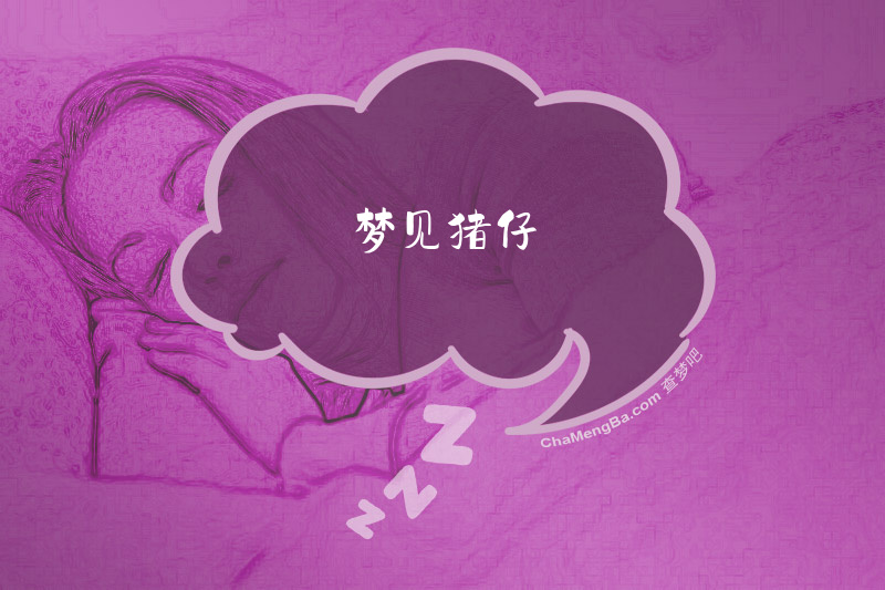 梦见猪仔