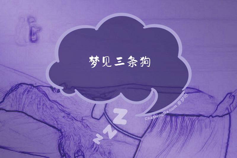 梦见三条狗