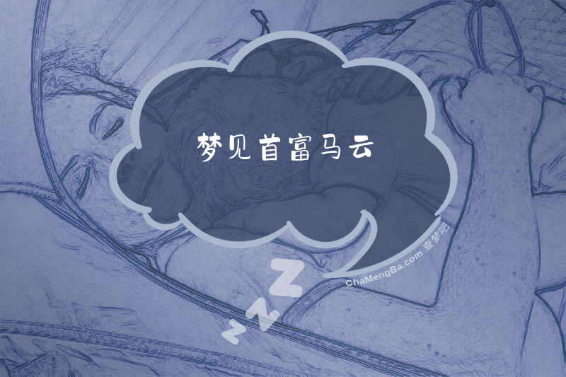 梦见首富马云