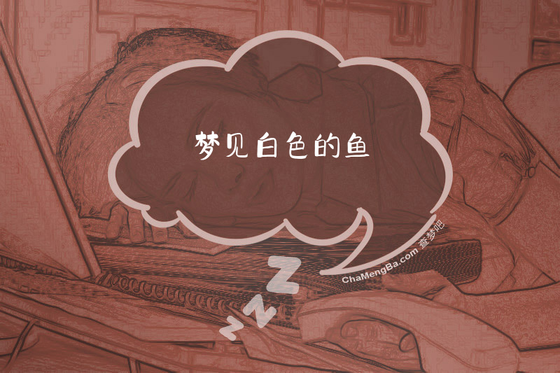 梦见白色的鱼
