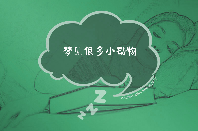 梦见很多小动物