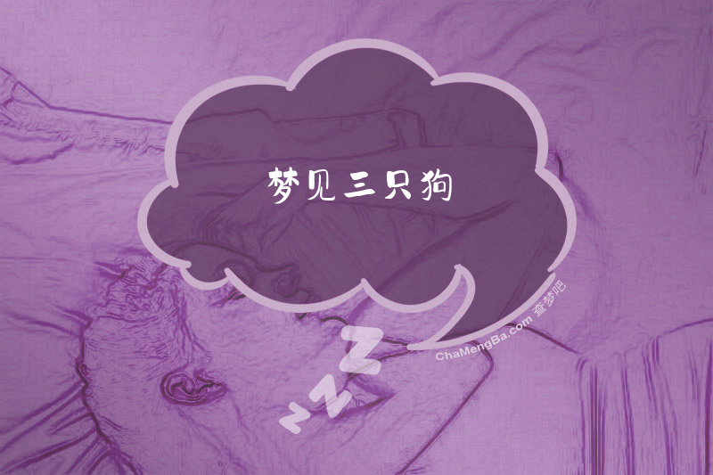 梦见三只狗