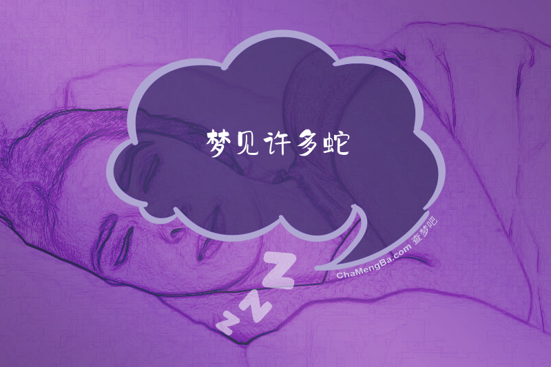 梦见许多蛇