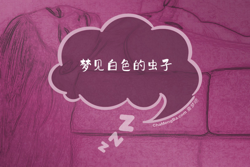 梦见白色的虫子