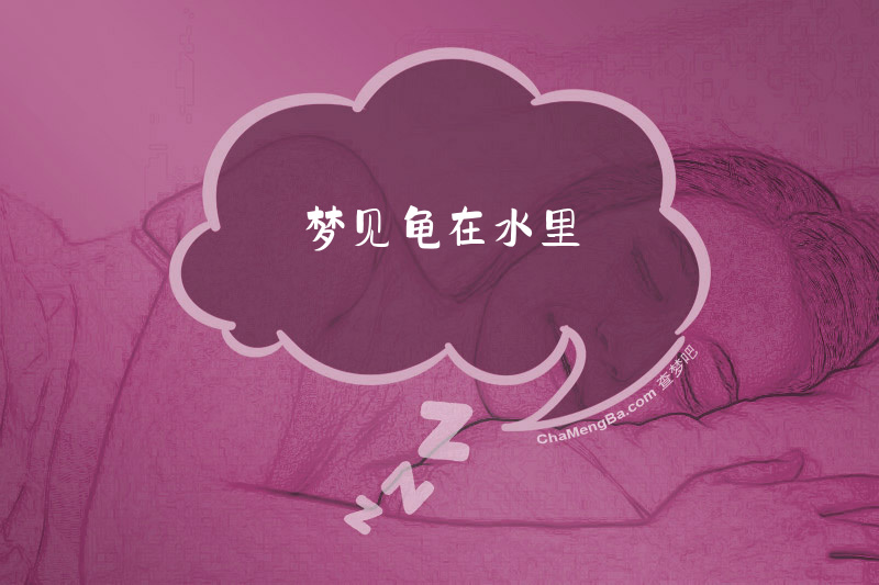 梦见龟在水里
