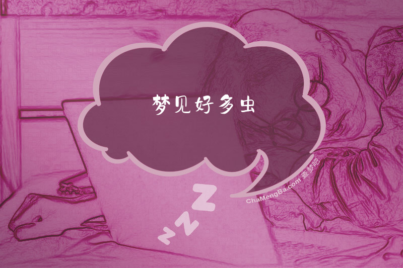 梦见好多虫