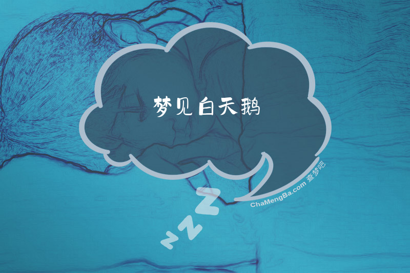 梦见白天鹅