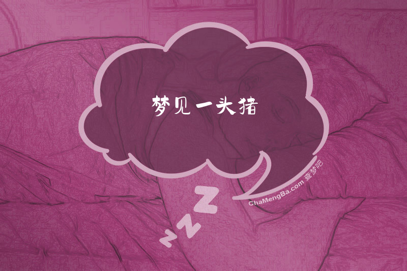 梦见一头猪
