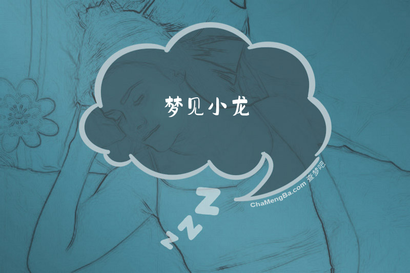梦见小龙