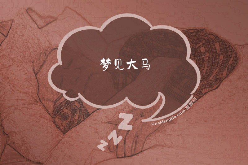 梦见大马
