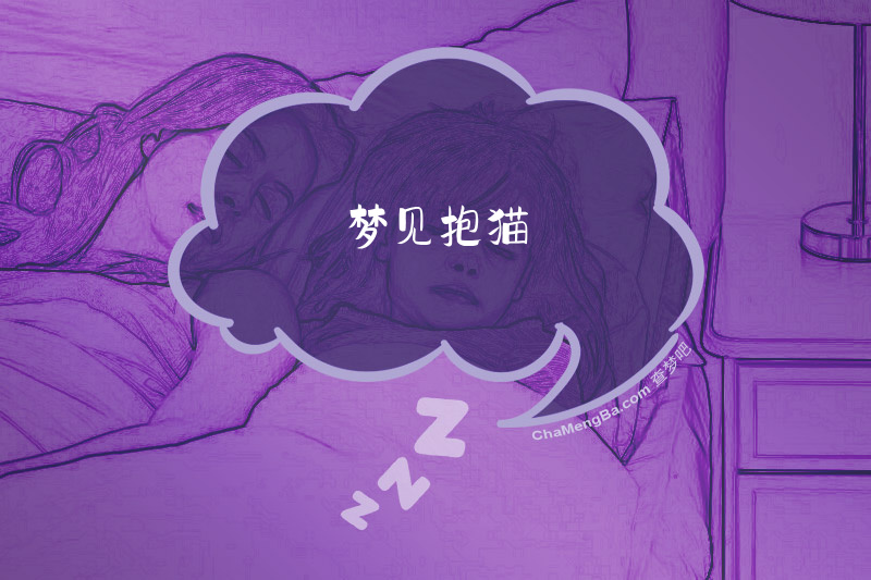 梦见抱猫