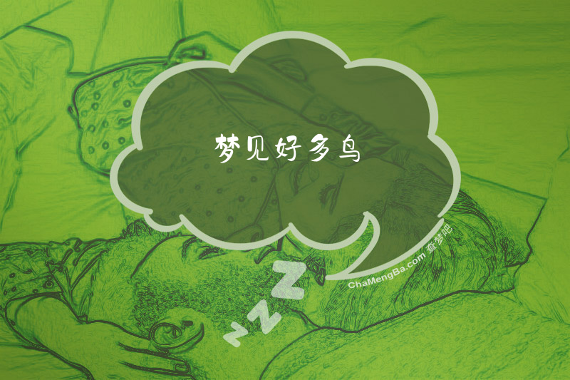 梦见好多鸟