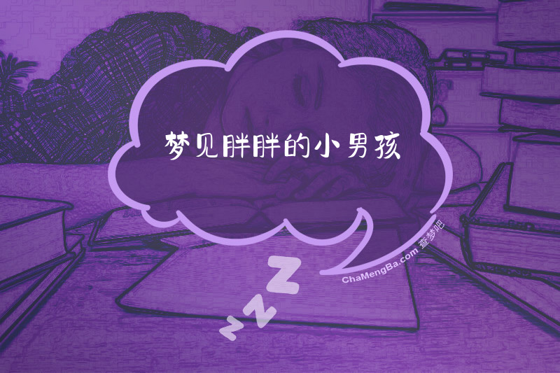 梦见胖胖的小男孩