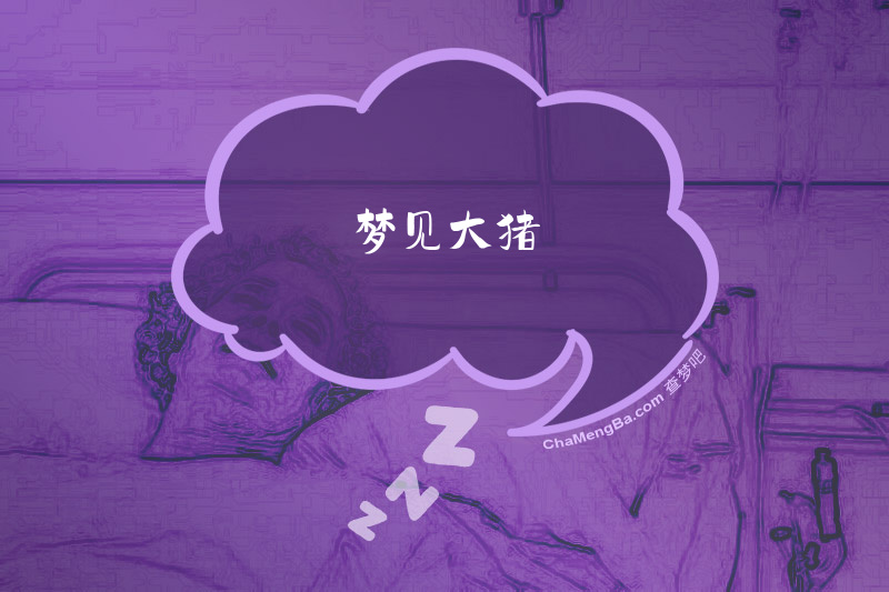 梦见大猪