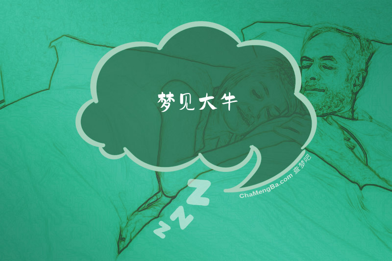 梦见大牛