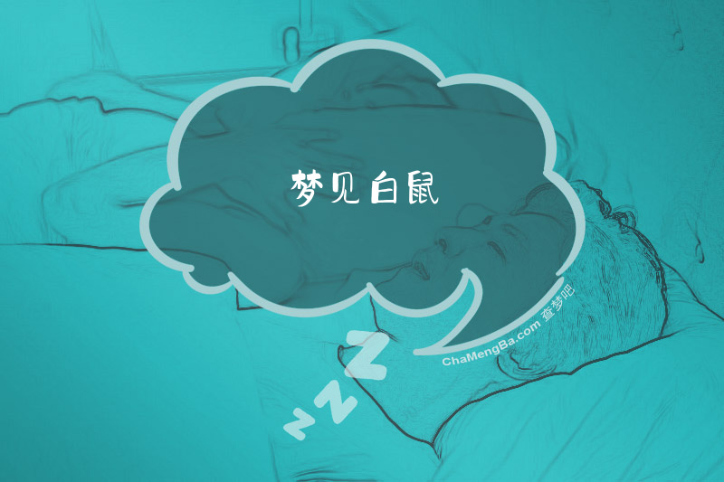 梦见白鼠