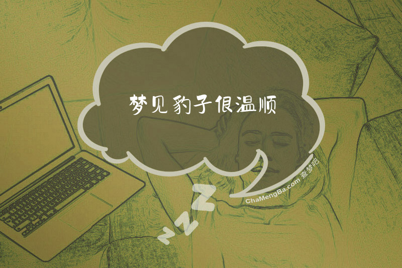 梦见豹子很温顺
