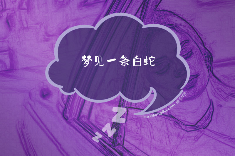 梦见一条白蛇