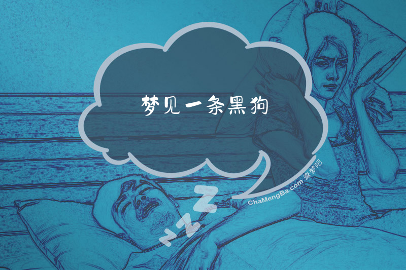 梦见一条黑狗