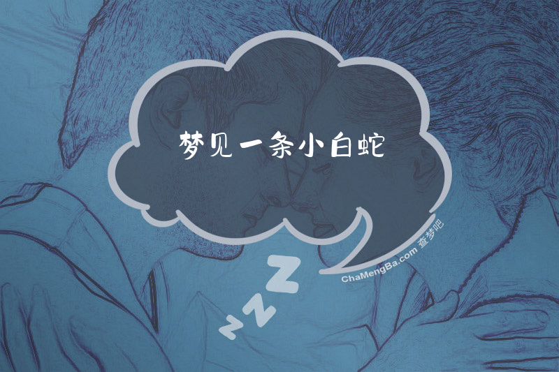 梦见一条小白蛇