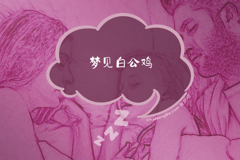 梦见白公鸡