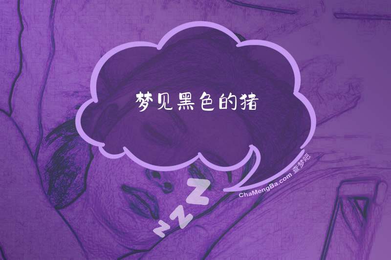 梦见黑色的猪