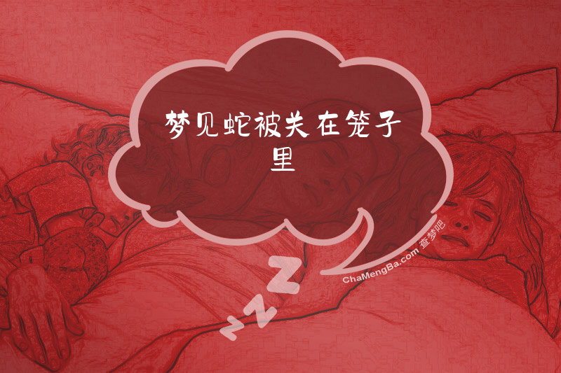 梦见蛇被关在笼子里
