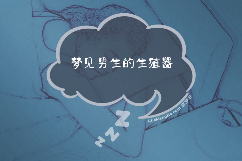梦见男生的生殖器