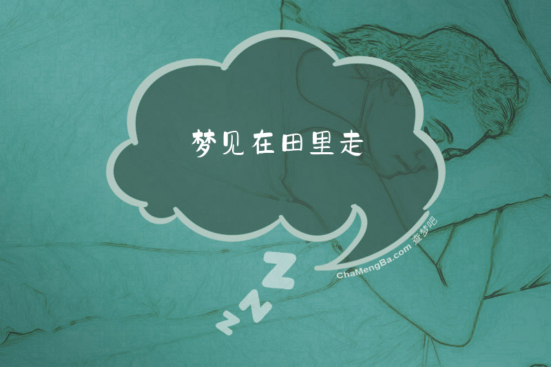 梦见在田里走